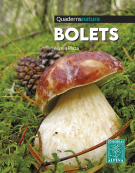 BOLETS